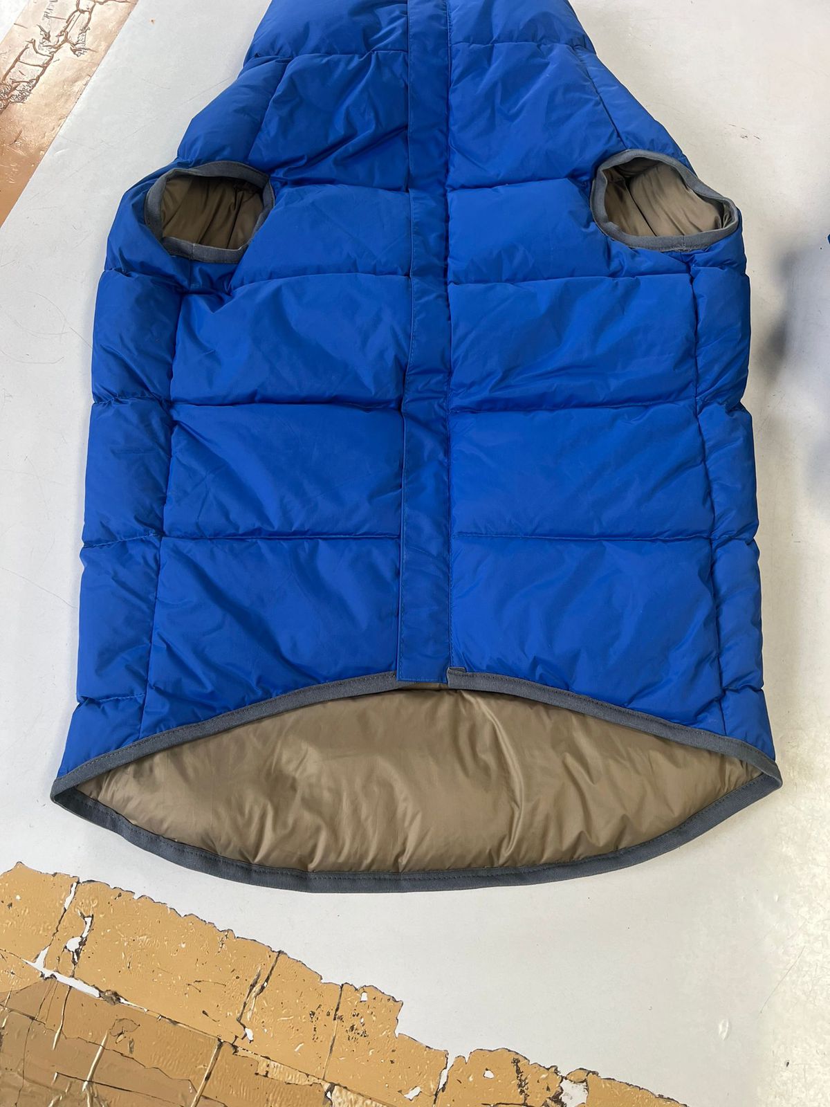 Warm wind proof blue dog jacket